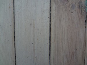 DSC05693